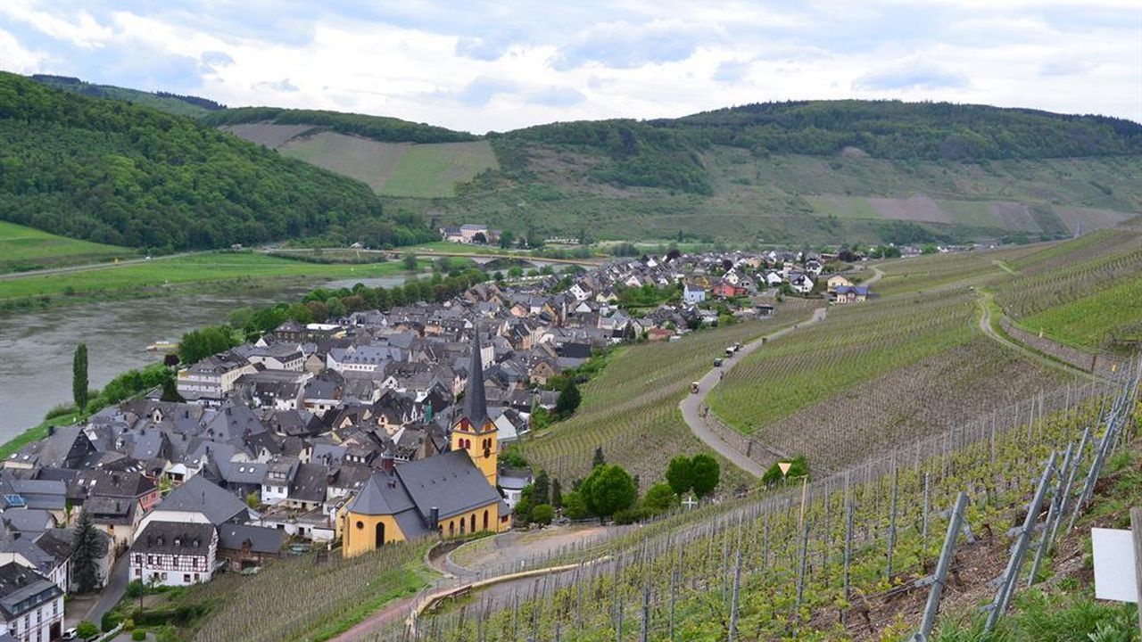 Ausblick Zeltingen Ausblick Zeltingen